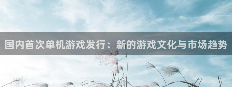 pp电子官网登录注册账号：国内首次单机游戏发行：新的游戏文化与市场趋势