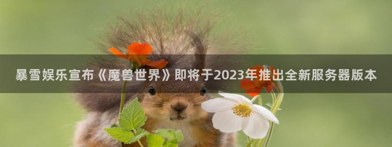 pp电子品牌策划公司：暴雪娱乐宣布《魔兽世界》即将于2023年推出全新服务器版本