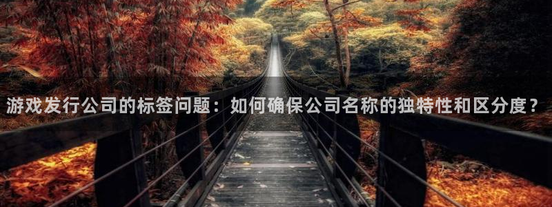 pp电子环境科技有限公司：游戏发行公司的标签问题：如何确保公司名称的独特性和区分度？
