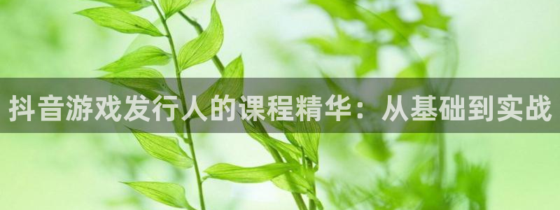 pp电子官网注册平台是什么意思：抖音游戏发行人的课程精华：从基础到实战