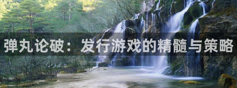 pp电子官网客服服务怎么样：弹丸论破：发行游戏的精髓与策略