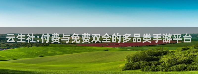 pp电子电子商务有限公司怎么样啊：云生社:付费与免费双全的多品类手游平台