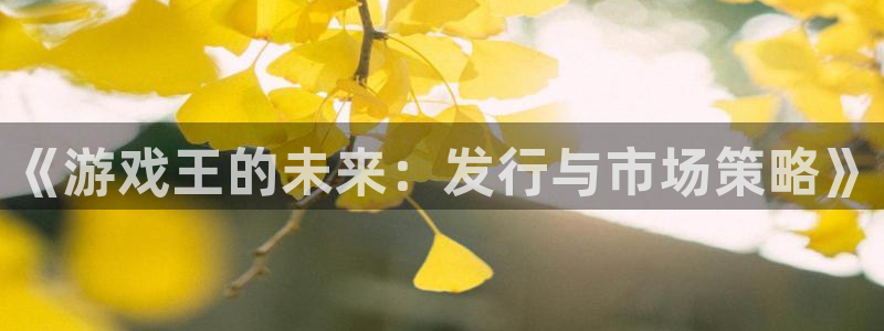 广州pp电子网络科技有限公司怎么样