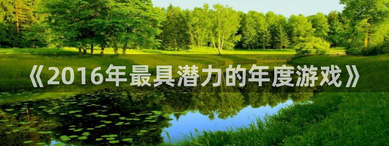 pp电子官网注册平台是什么意思：《2016年最具潜力的年度游戏》