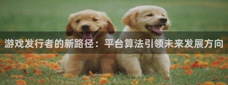 pp电子logo：游戏发行者的新路径：平台算法引领未来发展方向