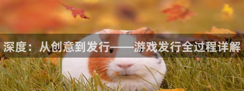江苏pp电子智得新材料：深度：从创意到发行——游戏发行全过程详解