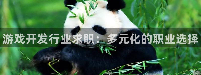 pp电子官网登录注册账号失败怎么回事：游戏开发行业求职：多元化的职业选择