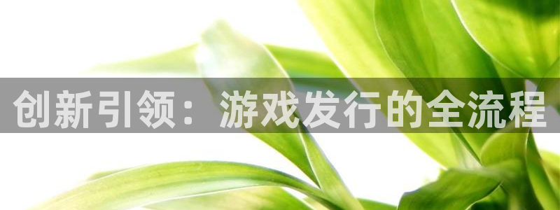 pp电子怪兽：创新引领：游戏发行的全流程