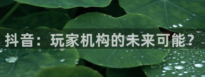 广州pp电子网络科技有限公司电话：抖音：玩家机构的未来可能？