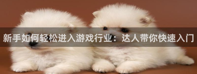 pp电子电商怎么样：新手如何轻松进入游戏行业：达人带你快速入门
