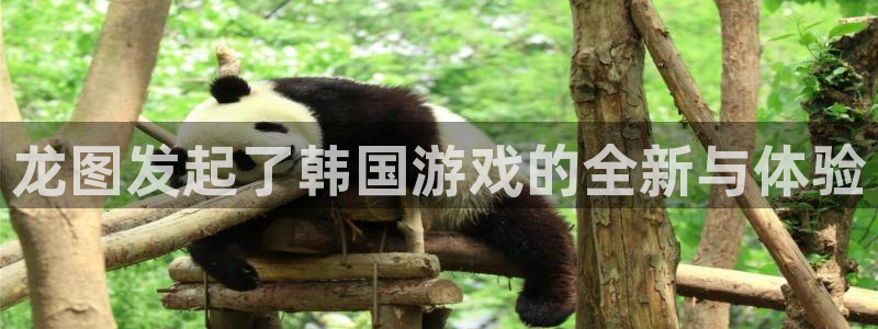 深圳市pp电子科技有限招聘公司