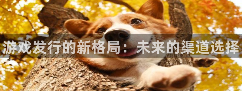 lvncespp电子衣服：游戏发行的新格局：未来的渠道选择