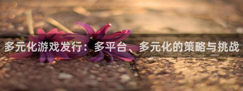 pp电子电子商务有限公司