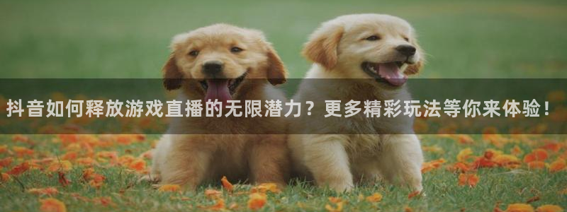 pp电子电子科技怎么样：抖音如何释放游戏直播的无限潜力？更多精彩玩法等你来体验！