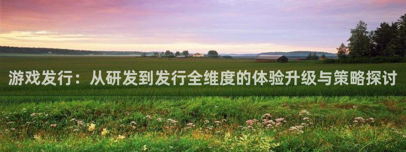 pp电子官网登录注册账号安全吗安全吗：游戏发行：从研发到发行全维度的体验升级与策略探讨