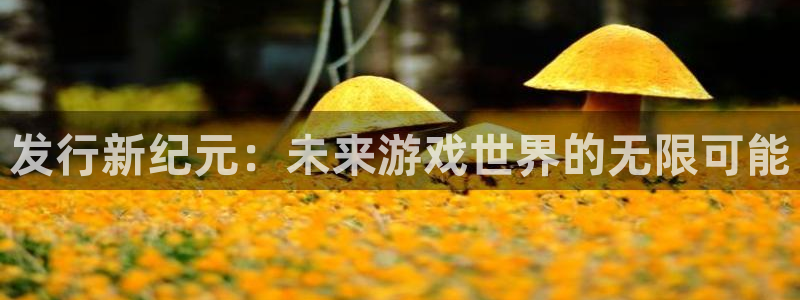 pp电子官网客服招聘：发行新纪元：未来游戏世界的无限可能