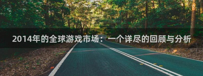 pp电子科技股票：2014年的全球游戏市场：一个详尽的回顾与分析
